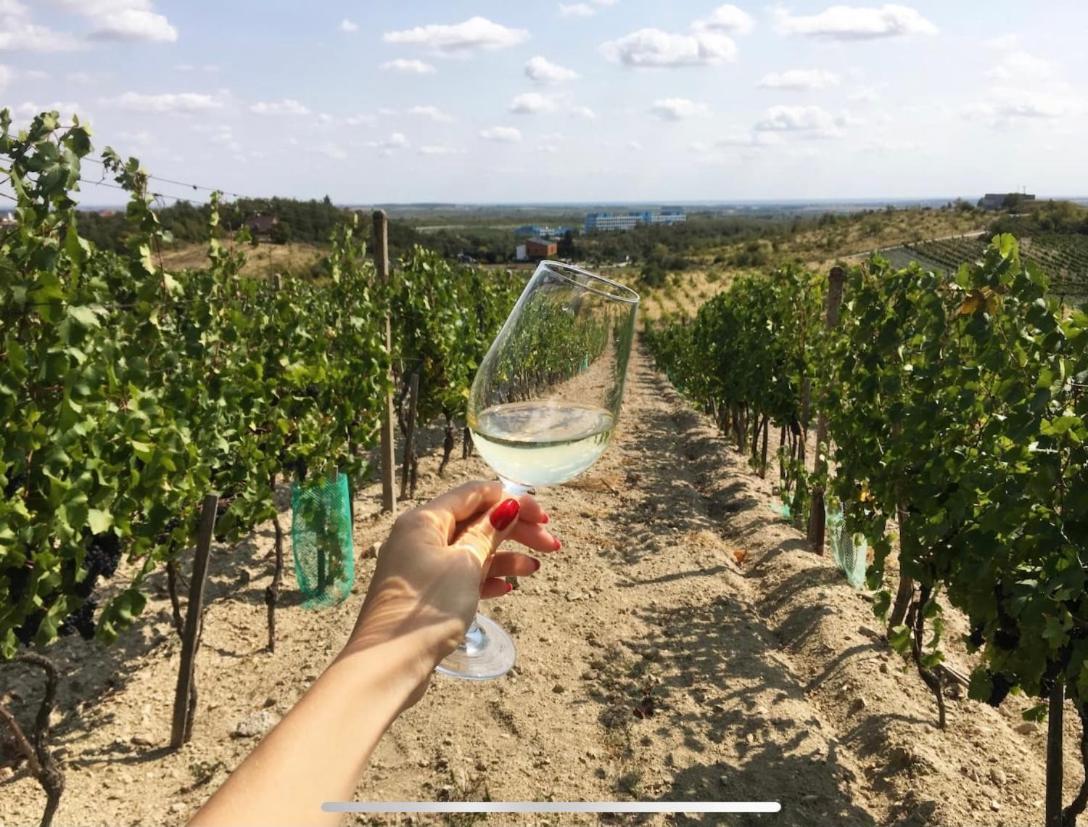 Cozy Rooms In Wine Town - 모드라 외부 사진